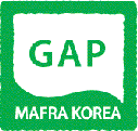 GAP MAFRA KOREA