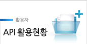 API활용현황